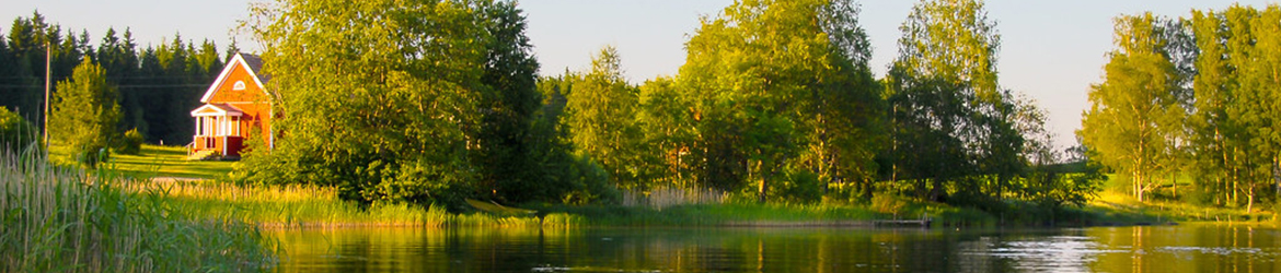 Muurutvirta; Heikkilänlahti 27.6.2009 Muurutvirta; Heikkilänlahti 27.6.2009