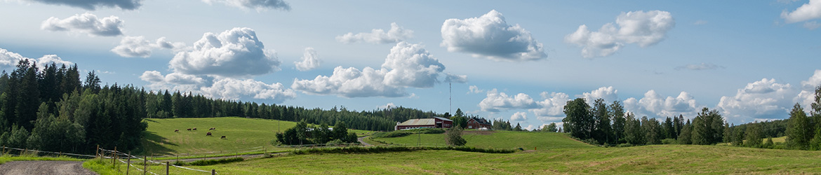 bannerikuva; Muuruvesi 15.7.2023; Haluna 02 kopio
