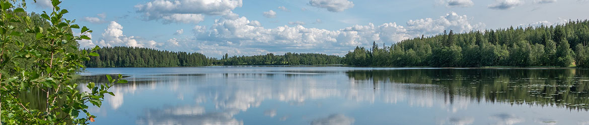 bannerikuva; Muuruvesi 15.7.2023;Tihvonjärvi; Viialanlahti 02