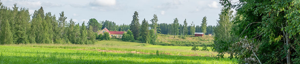 bannerikuva; Muuruvesi 15.7.2023;Västinniemi; Seurantalolta 01 bannerikuva; Muuruvesi 15.7.2023;Västinniemi; Seurantalolta 01