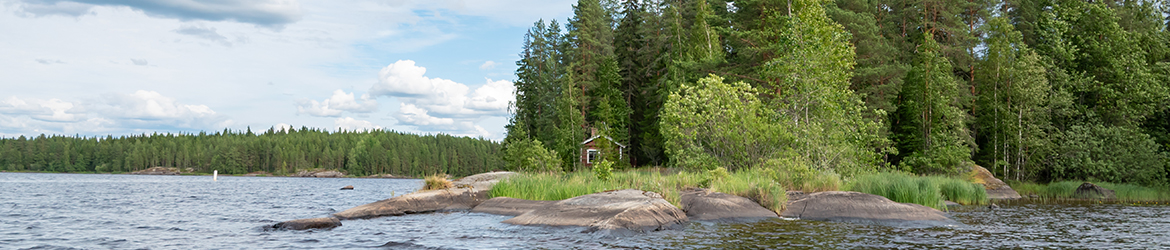 Kallinsalon rantaa 1.7.2026